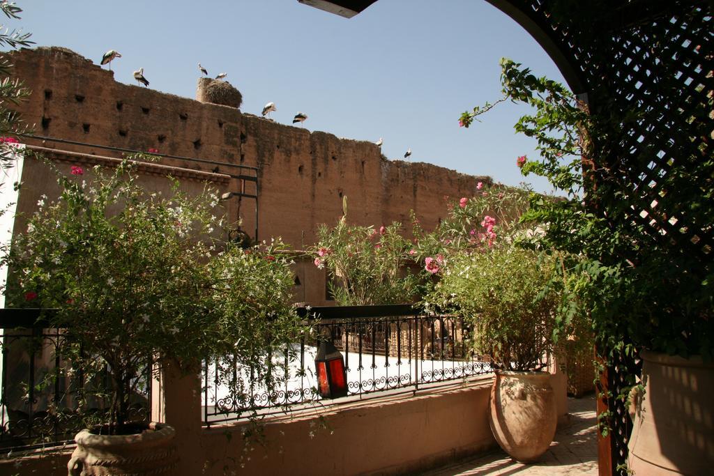 Riad Carina Marrakesh Bagian luar foto